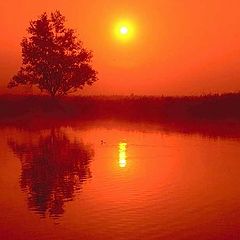 photo "Red sunset"