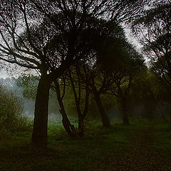 фото "Утро"