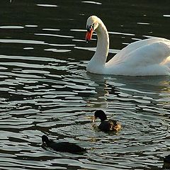 фото "a spasso con mamma"