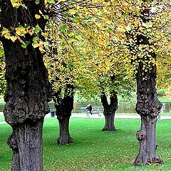 photo "Autumn in Copenhagen."