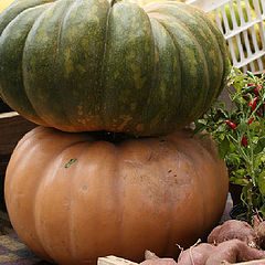 фото "Caldas da Rainha Market 06/20"