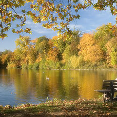 photo "the last day in autumn"