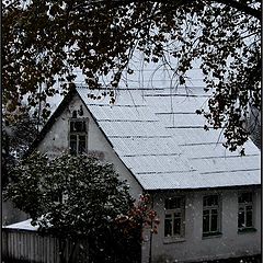 фото "Первый снег"