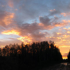 photo "Sunset in the country"