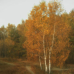 фото "бронзовая-грусть"