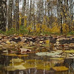 фото "...осенние зеркала"