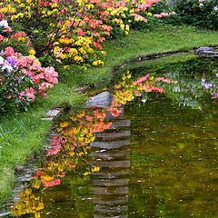 photo "The Japanese garden"