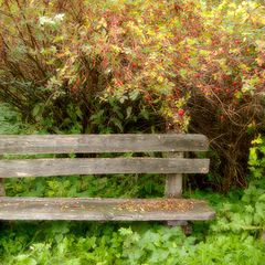 photo "Autumn bench"