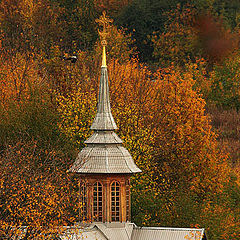 photo "autumn has come2"