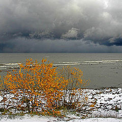 photo "Approach of Winter"