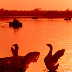 photo "Morning at the river"