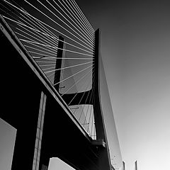 фото "The bridge"