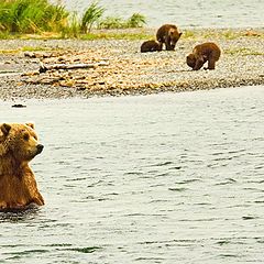 photo "Mom takes a break"