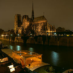 photo "Notre Dame de Paris (Panoramic)"