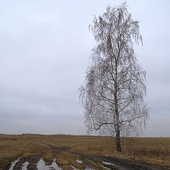 фото "Осенняя меланхолия"