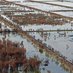 photo "saline marshes"