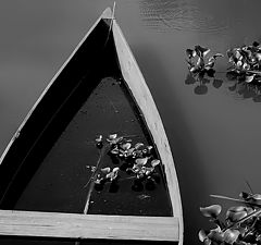 photo "Boat detail"
