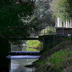 фото "The bridge"