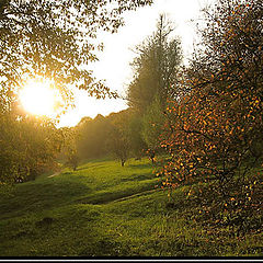 photo "Ray of golden sky"