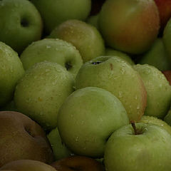 фото "Caldas da Rainha Market 11/20"