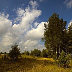 photo "The End of August"