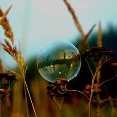photo "***"