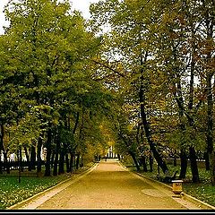 photo "Autumn walking"