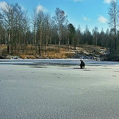 photo "Winter fishing"