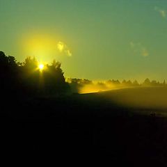 photo "***"