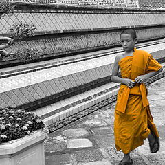 photo "Young Monk"