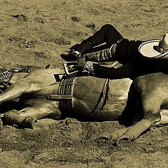 photo "La siesta mejicana"