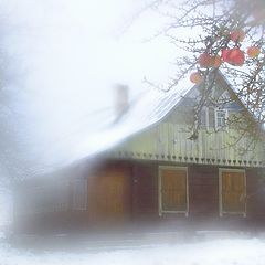 photo "***"