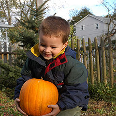 photo "punkin' pikin'"