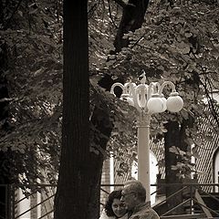 photo "Walk in park enamoured"