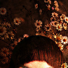 photo "***"
