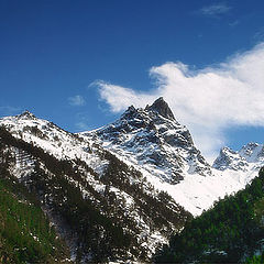 photo "Seeking the peak"