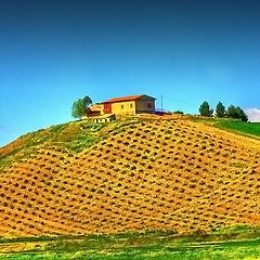 фото "Paesaggio siciliano"