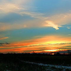 photo "Sunset of November"