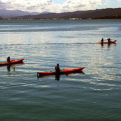 photo "Relaxing on the harbour"