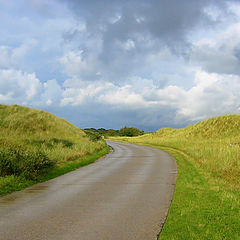 photo "after the rain"