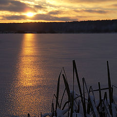 photo "November etude near the frozen lake"