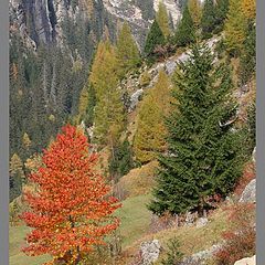 фото "paesaggio svizzero"