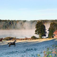 photo "The first freesing - A postcard for Maarit and Kai"