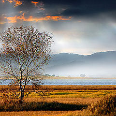 photo "Beautiful autumn day"