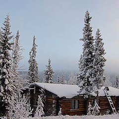 photo "Winter in Lapland"