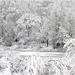 фото "совсем замело"