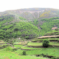 фото "Sucalcos Serranos"