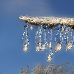 фото "ледяные подвески"