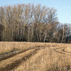 фото "Поздняя осень (2)"