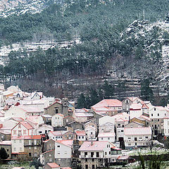 фото "um pouco de neve"